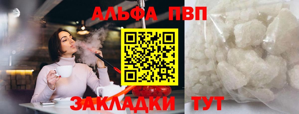 Альфа ПВП крисы CK  Вход с VPN  Alfa_PVP СК КРИС  Майкоп 