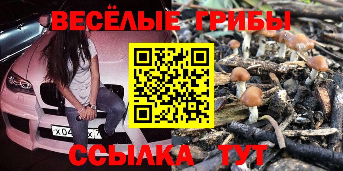 Псилоцибиновые грибы мухоморы  Вход с VPN  Псилоцибиновые грибы MAGIC MUSHROOMS  Майкоп 
